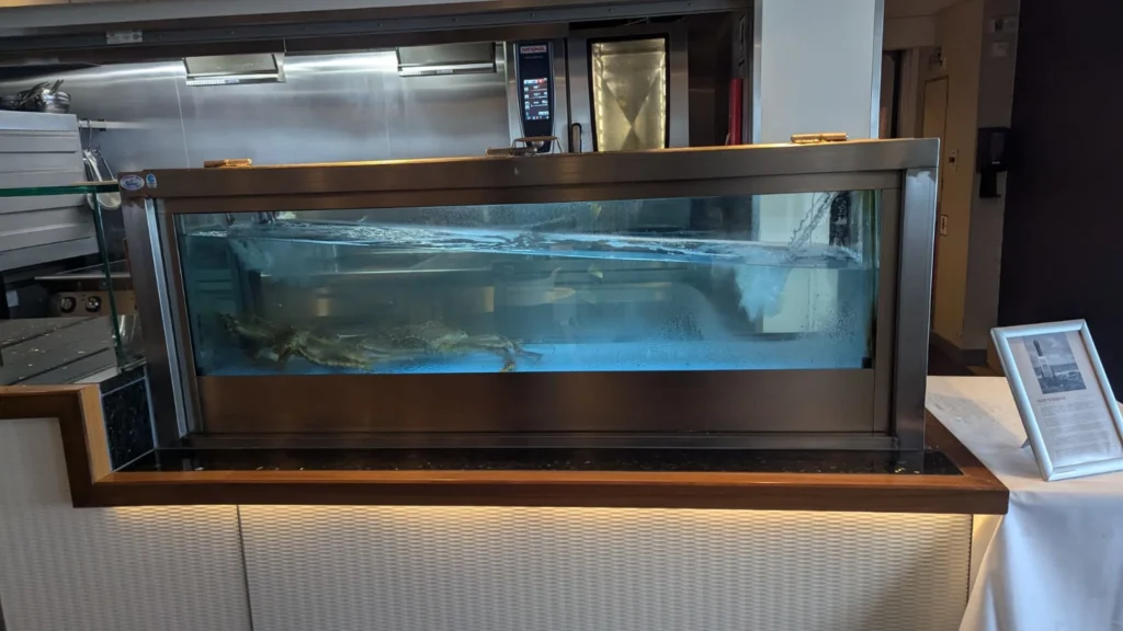 Tag-17 - Eigentlich sollte das Bild die Schieflage demonstrieren, aber die gequälten Königskrabben sind leider auch Teil